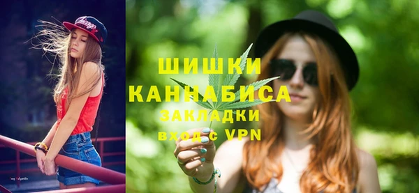 крисы Баксан