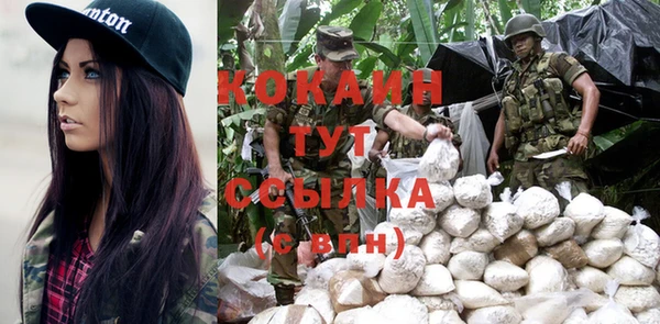 крисы Баксан