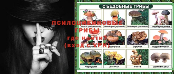 крисы Баксан