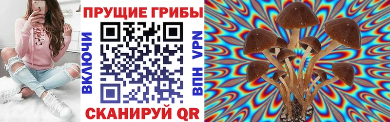 Псилоцибиновые грибы Magic Shrooms  Глазов 
