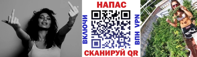 Конопля гибрид Глазов